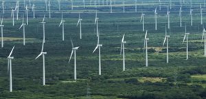 Empresas de energía eólica piden aprovechar inversiones ante rezago Empresas de energía eólica piden aprovechar inversiones ante rezago