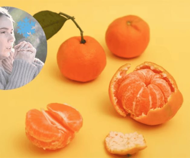 Descubre los beneficios de la mandarina en temporada de frío Descubre los beneficios de la mandarina en temporada de frío