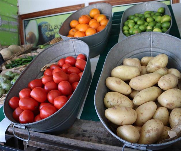 Estables, los precios de verduras y frutas Estables, los precios de verduras y frutas