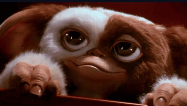 Gremlins regresa a los cines 4 décadas después de su estreno Gremlins regresa a los cines 4 décadas después de su estreno
