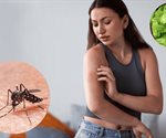 Cómo preparar repelente de mosquitos con menta
