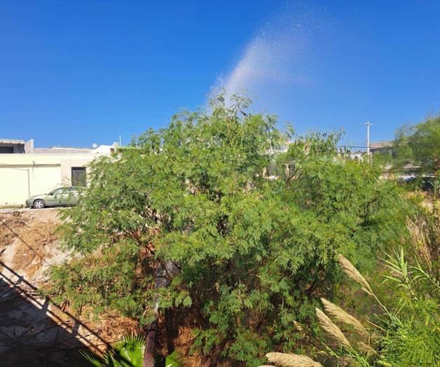 Reportan espectacular fuga de agua limpia Reportan espectacular fuga de agua limpia