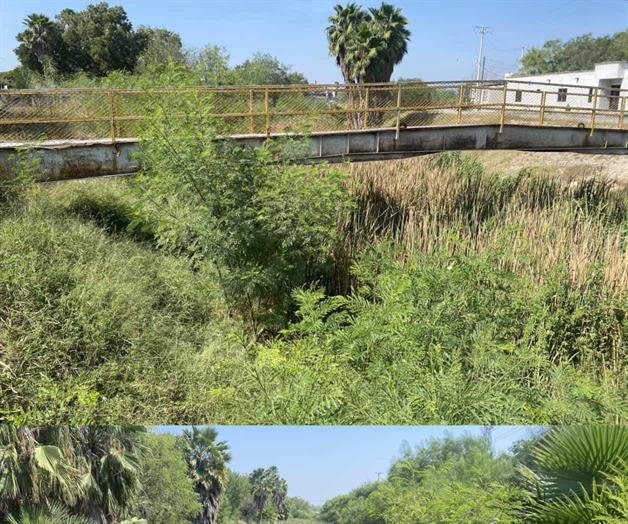 Dren pluvial en el olvido Dren pluvial en el olvido
