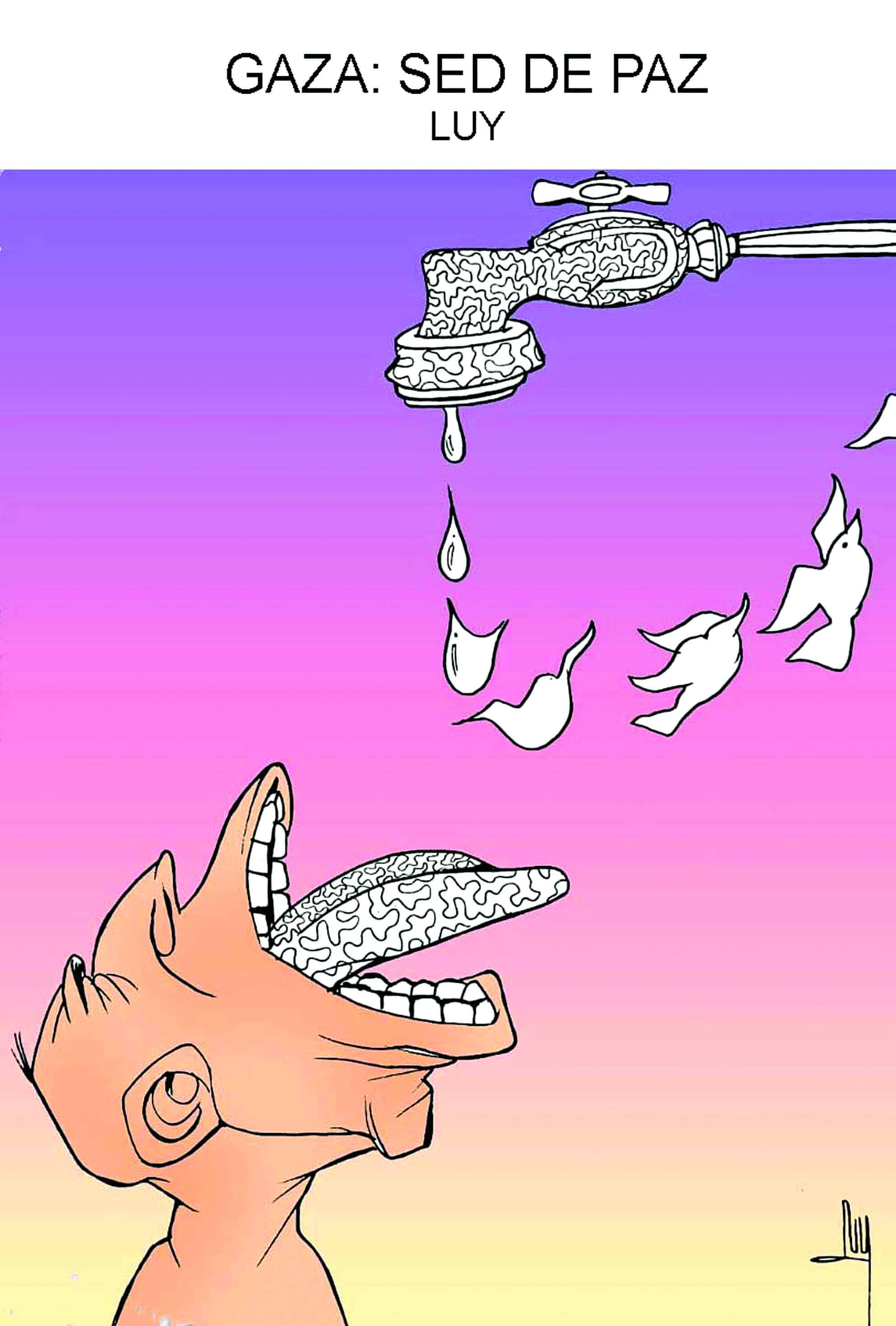 Gaza, sed de paz Gaza, sed de paz