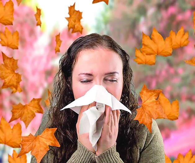 "Alergias otoñales: cuando el aire cambia, la salud también"