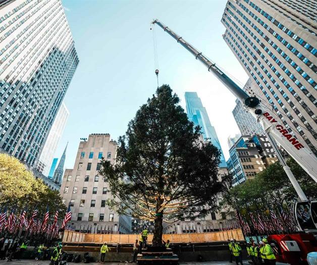 Árbol de Navidad del Centro Rockefeller llega a Manhattan Árbol de Navidad del Centro Rockefeller llega a Manhattan