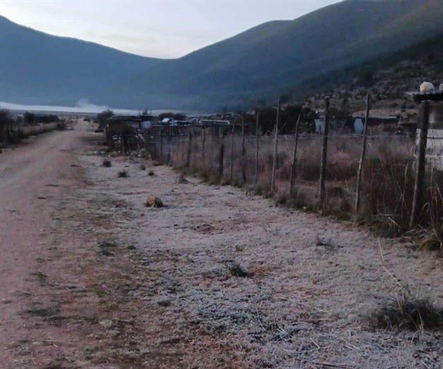 Miquihuana registra helada con temperatura de -5.8°C Miquihuana registra helada con temperatura de -5.8°C