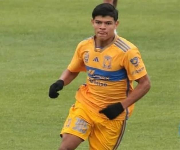 ´Jona´ y Tigres van a la liguilla