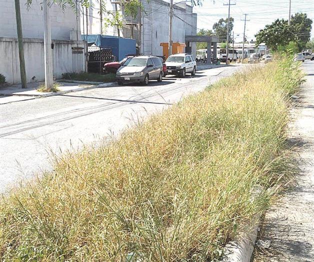 Envuelve el monte calles y avenidas en Cumbres