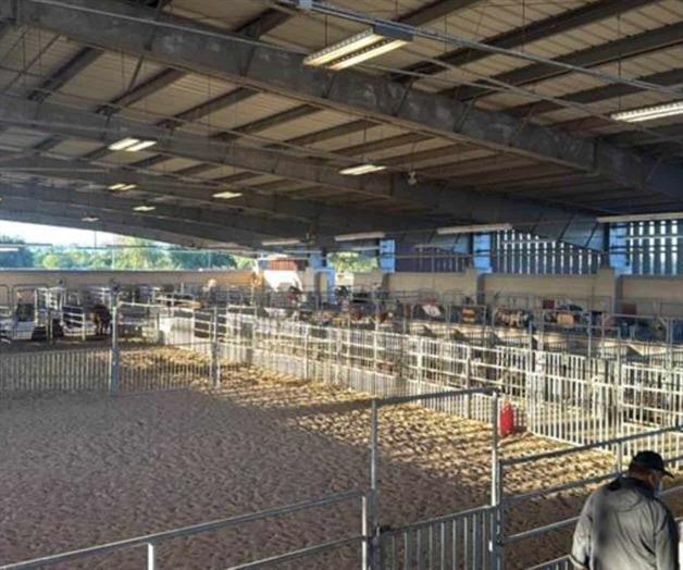 Transforman estiércol en "oro" para jardines