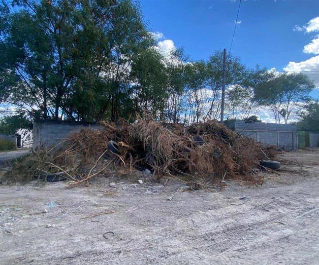Abandonan tierra, ramas secas, llantas y basura