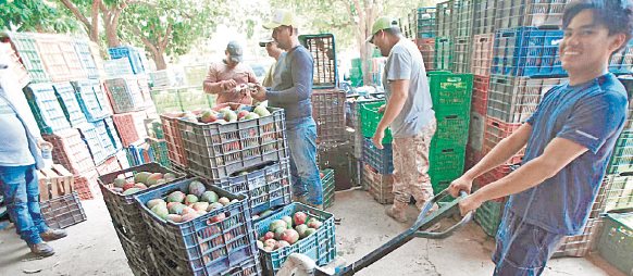 Alerta BID de rezago en el  sector agrícola mexicano