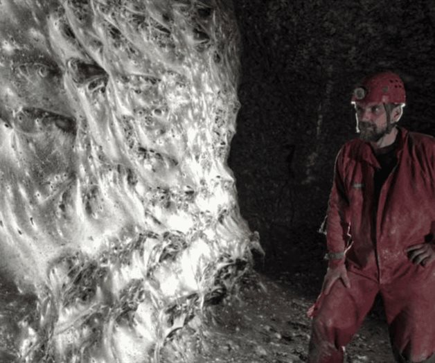 Checos hallan la telaraña más grande del mundo Checos hallan la telaraña más grande del mundo