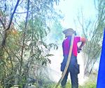Atienden bomberos incendio en terreno
