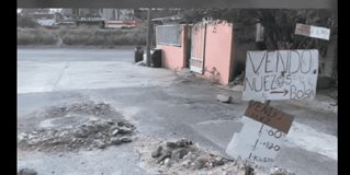 Vecinos ponen creatividad ... y el negocio vende nuez Vecinos ponen creatividad ... y el negocio vende nuez