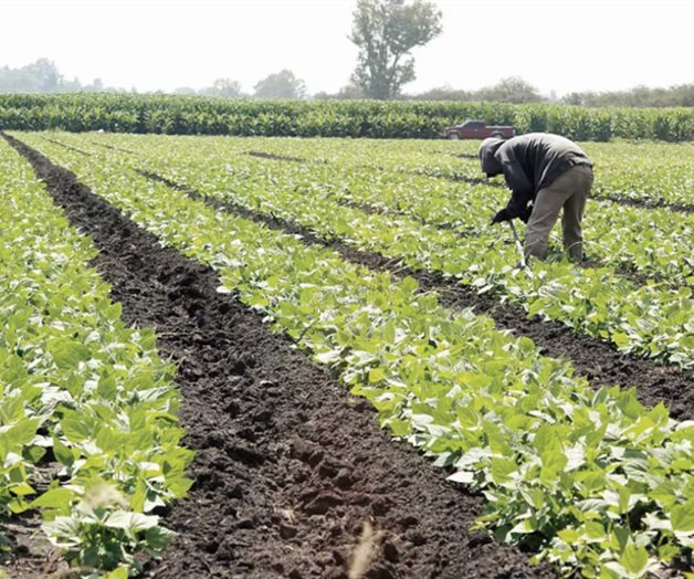 Alertan por falsos gestores para regularizar concesiones de agua Alertan por falsos gestores para regularizar concesiones de agua