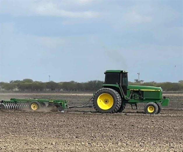 Falta de apoyos al campo provoca pérdida de 20 mil hectáreas de sorgo Falta de apoyos al campo provoca pérdida de 20 mil hectáreas de sorgo