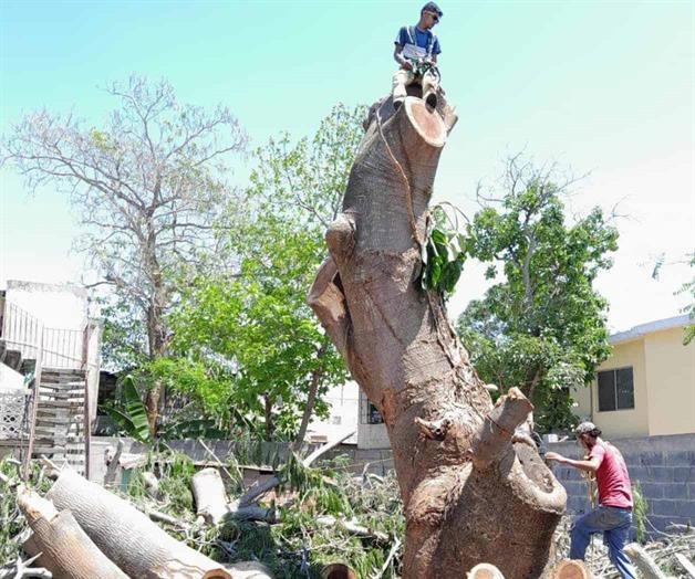 Megamultas ecológicas