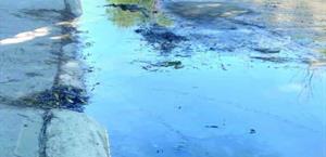 Desperdician cientos de litros de agua por fuga