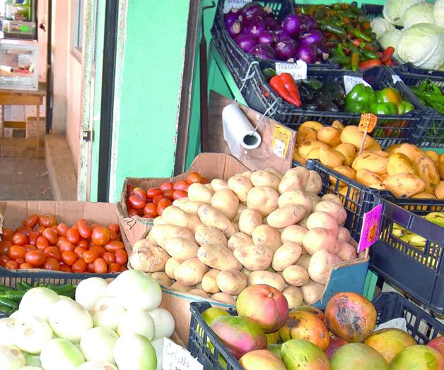 El aguacate y papa, los más baratos que nunca El aguacate y papa, los más baratos que nunca