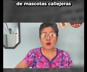 Combaten sobrepoblación de mascotas callejeras