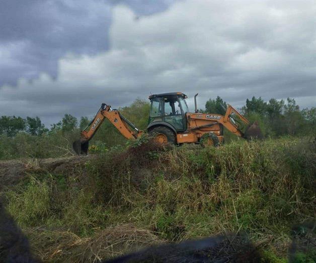 Abejas atacan a maquinista