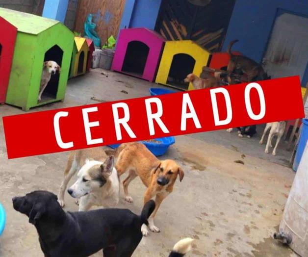 Cierra hogar de rescate canino
