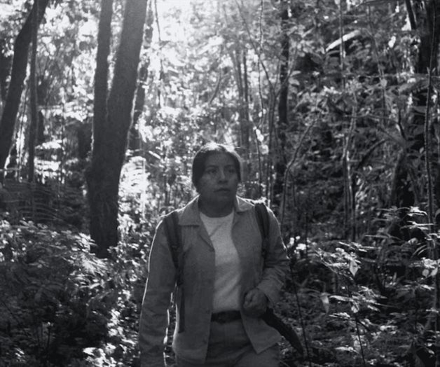 La historia detrás del La reserva ganadora en el FICM La historia detrás del La reserva ganadora en el FICM