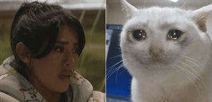 La Granja VIP: los memes que dejó la asamblea de nominaciones La Granja VIP: los memes que dejó la asamblea de nominaciones