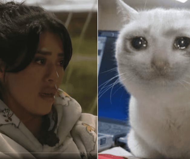 La Granja VIP: los memes que dejó la asamblea de nominaciones La Granja VIP: los memes que dejó la asamblea de nominaciones