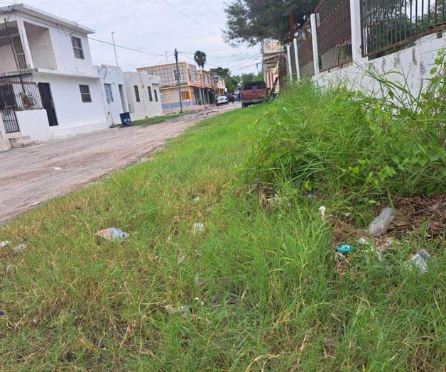 Calle Independencia, entre maleza y olvido Calle Independencia, entre maleza y olvido