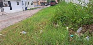 Calle Independencia, entre maleza y olvido