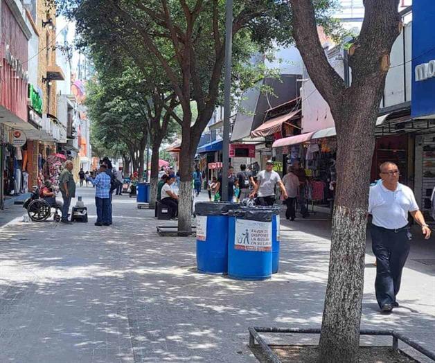 Demandan más vigilancia en calle peatonal Hidalgo Demandan más vigilancia en calle peatonal Hidalgo