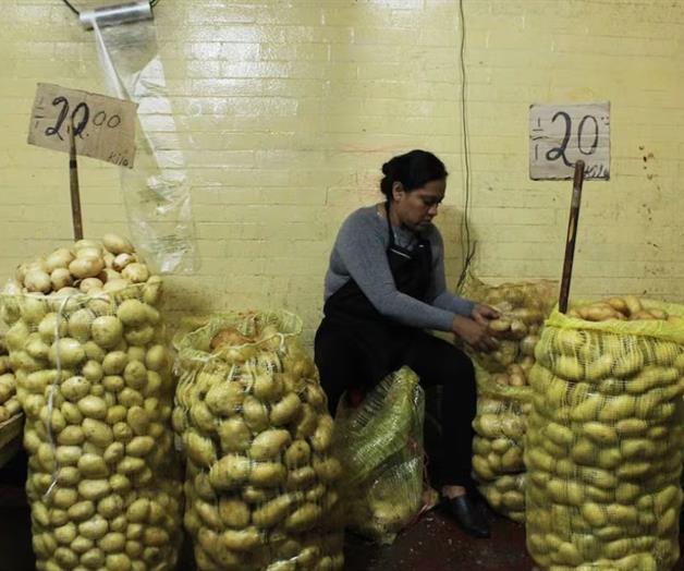 Papa blanca llega a 40 pesos el kilogramo Papa blanca llega a 40 pesos el kilogramo