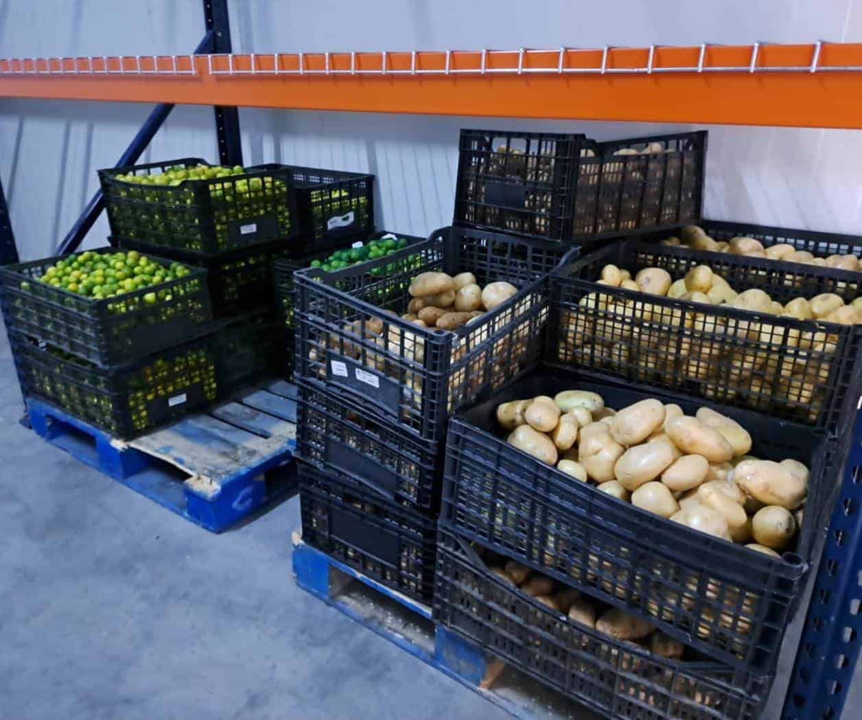 Negocios se preparan para temporada de alta demanda