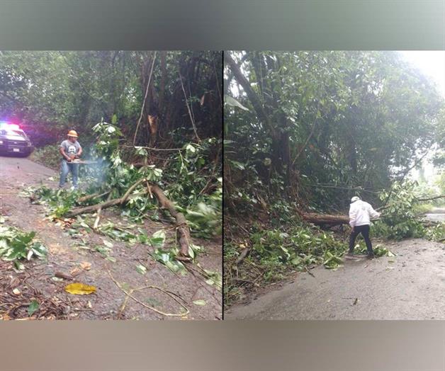 Lluvias por frente frío 19 dejan daños en Chiapas Lluvias por frente frío 19 dejan daños en Chiapas