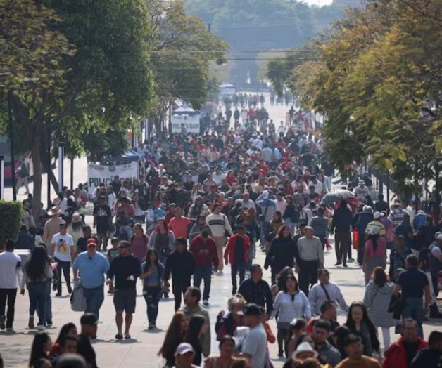 Profeco inicia Operativo Basílica 2025 Profeco inicia Operativo Basílica 2025