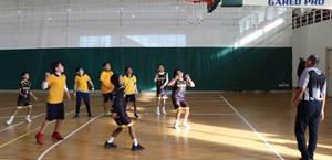 Reciben la etapa Regional en basquetbol, voleibol y handball