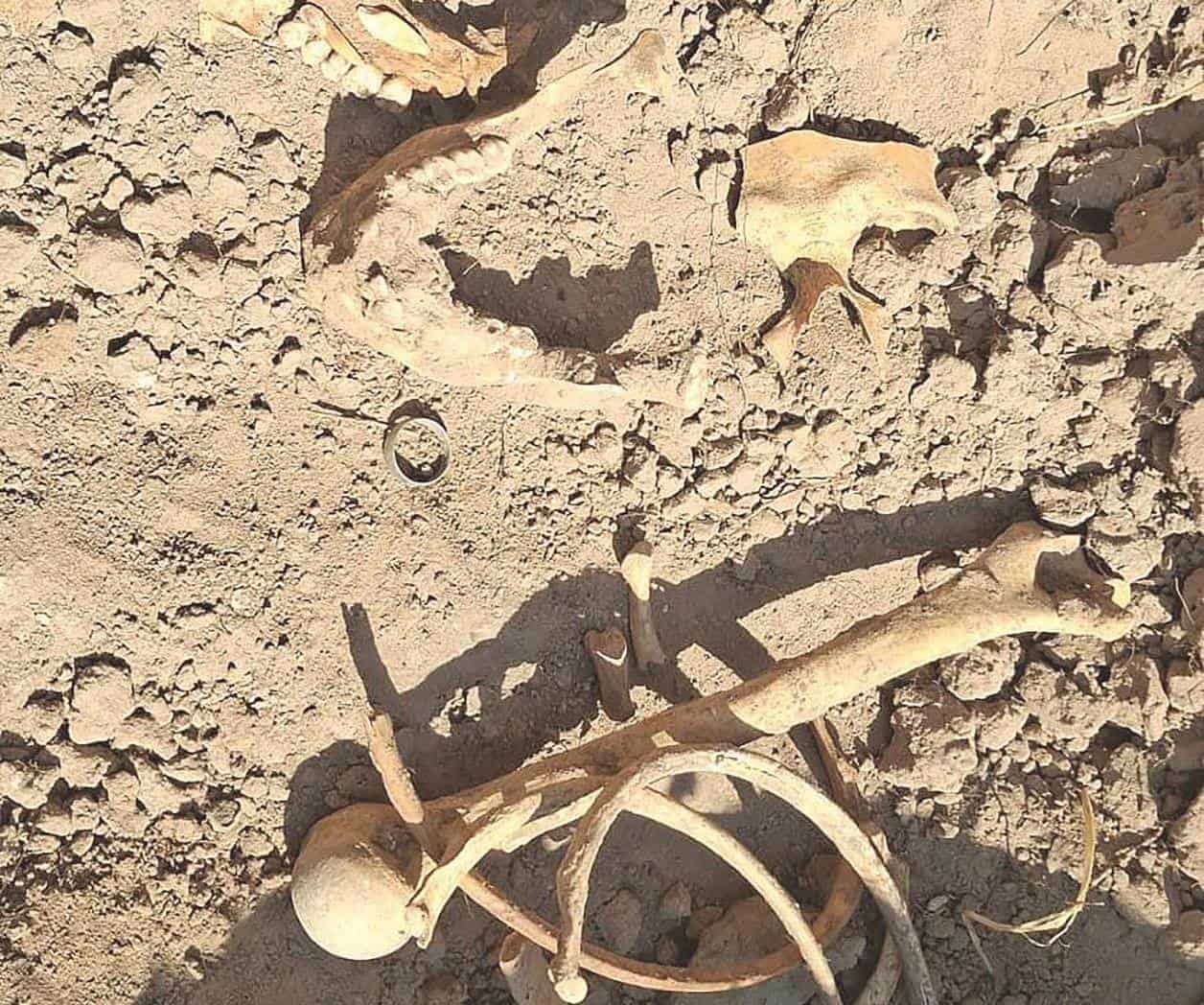 Colectivos acusan rezago forense en Tamaulipas