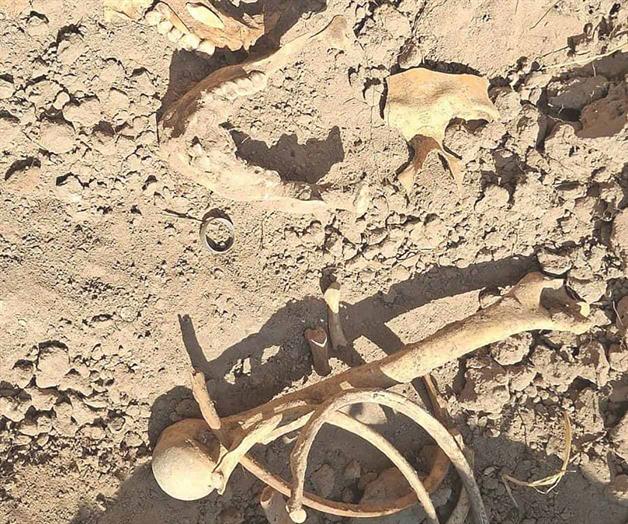 Colectivos acusan rezago forense en Tamaulipas Colectivos acusan rezago forense en Tamaulipas