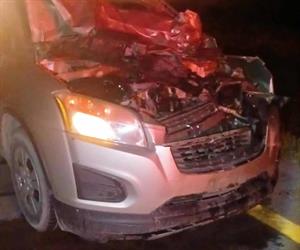 Conductor choca contra becerro en la Matamoros-Reynosa