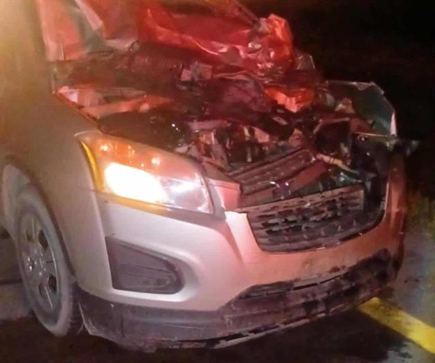 Conductor choca contra becerro en la Matamoros-Reynosa Conductor choca contra becerro en la Matamoros-Reynosa