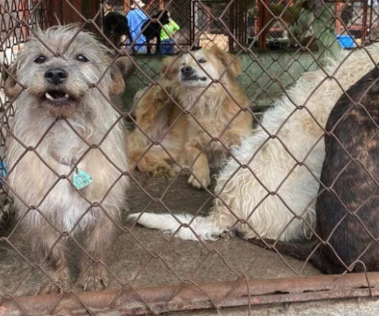 Sedema acompañará proceso en Refugio Franciscano de CDMX