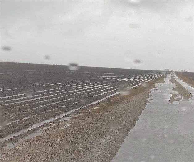 Agradecen lluvias Agradecen lluvias