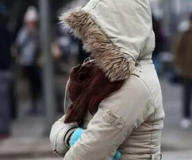 Frente frío 22 provocará temperaturas de hasta-10 grados Frente frío 22 provocará temperaturas de hasta-10 grados