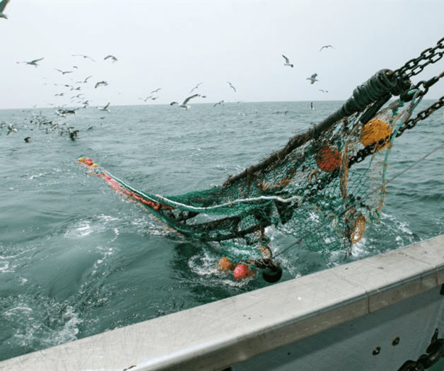 La pesca de arrastre pone en riesgo a los oc&eacute;anos, acusan