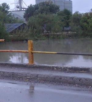 Contin&uacute;an cafres da&ntilde;ando puente