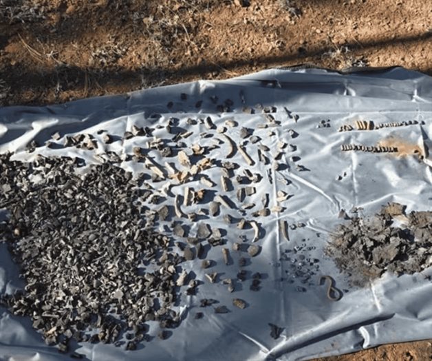 Hallan restos óseos en el municipio de Madera, Chihuahua Hallan restos óseos en el municipio de Madera, Chihuahua