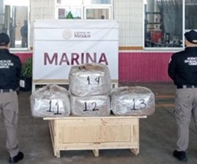 Secretaría de Marina asegura 96 kg de droga psicodélica en Veracruz Secretaría de Marina asegura 96 kg de droga psicodélica en Veracruz