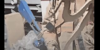 Capturan v&iacute;bora de cascabel dentro de maquiladora